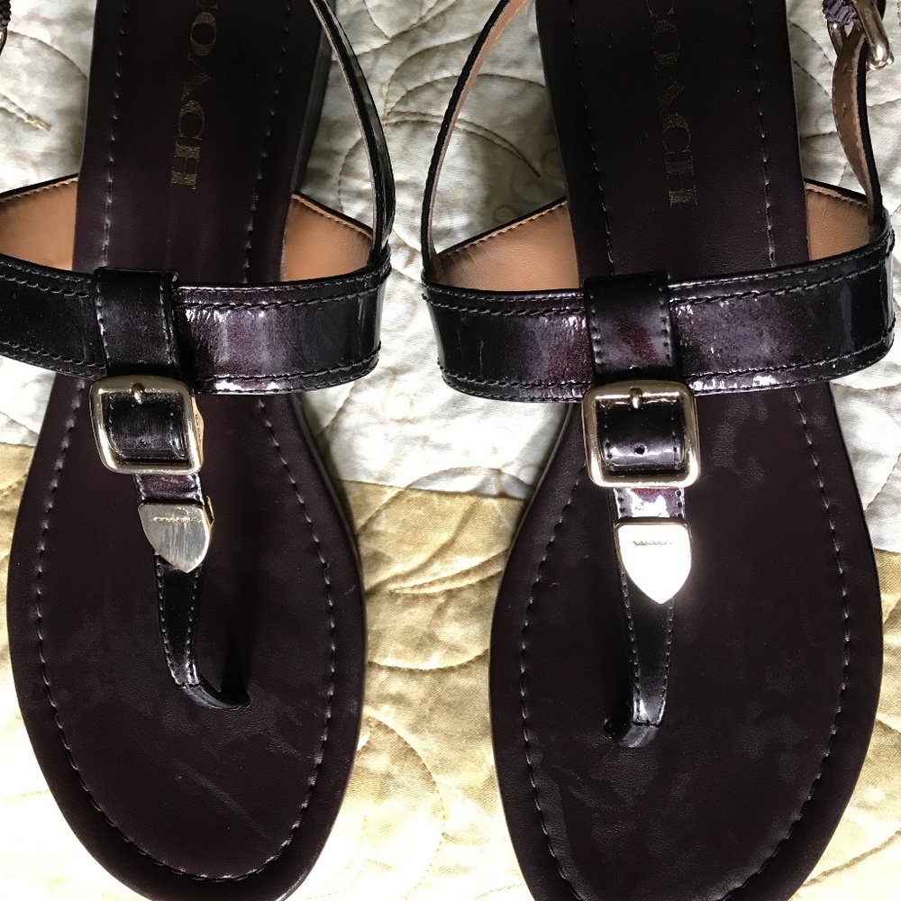 Brown Coach Thong Sandals